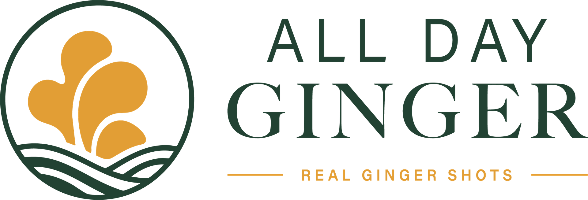 All Day Ginger